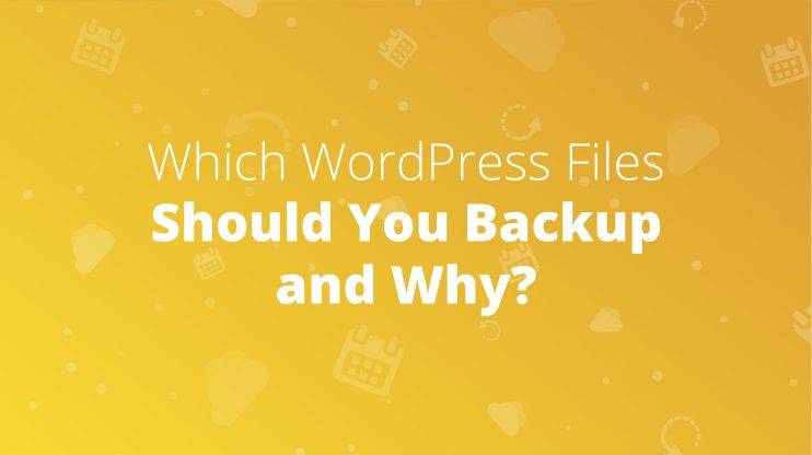 Which WordPress files should you backup