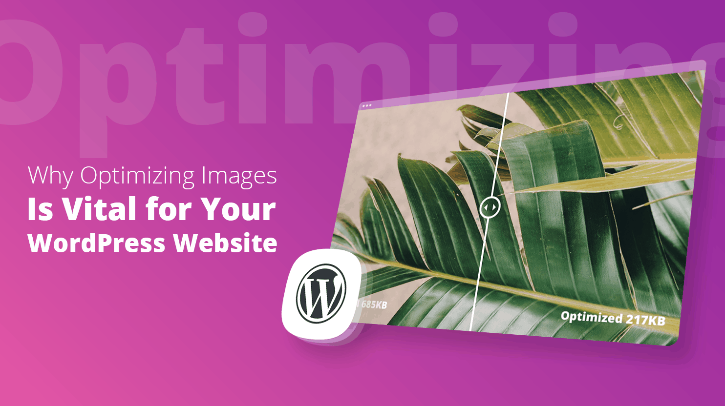 Why Optimizing Images is Vital for your WordPress Website