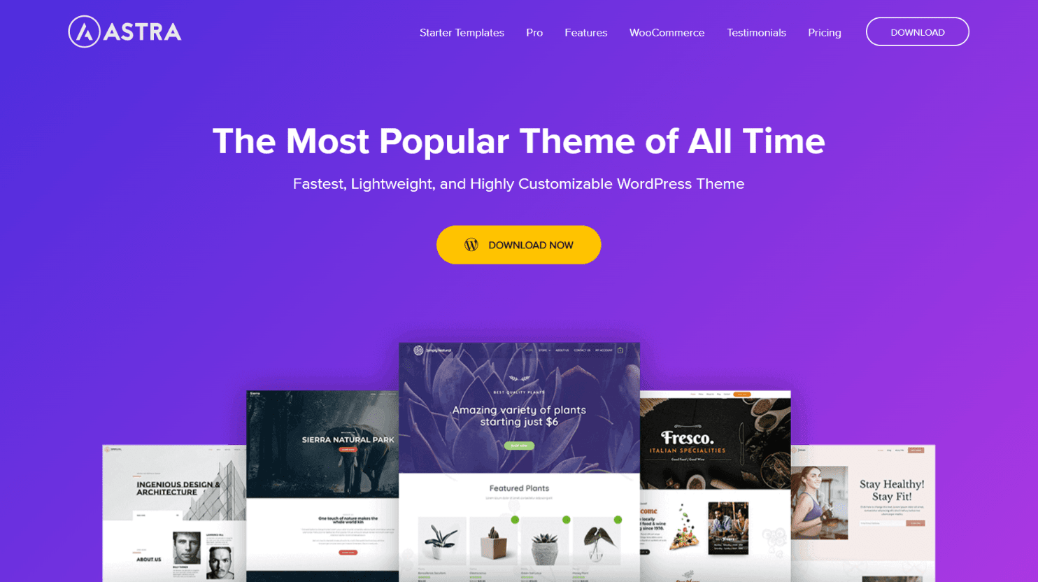 Our Favorite WordPress Theme/Visual Page Builder: Divi - TechBear