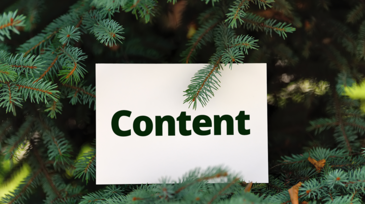 The branches of an Evergreen tree covering the word "Content" 