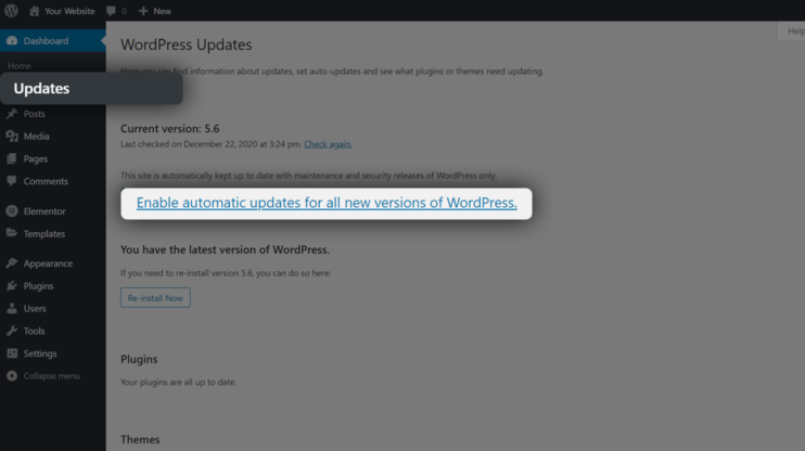 automatic wordpress release updates