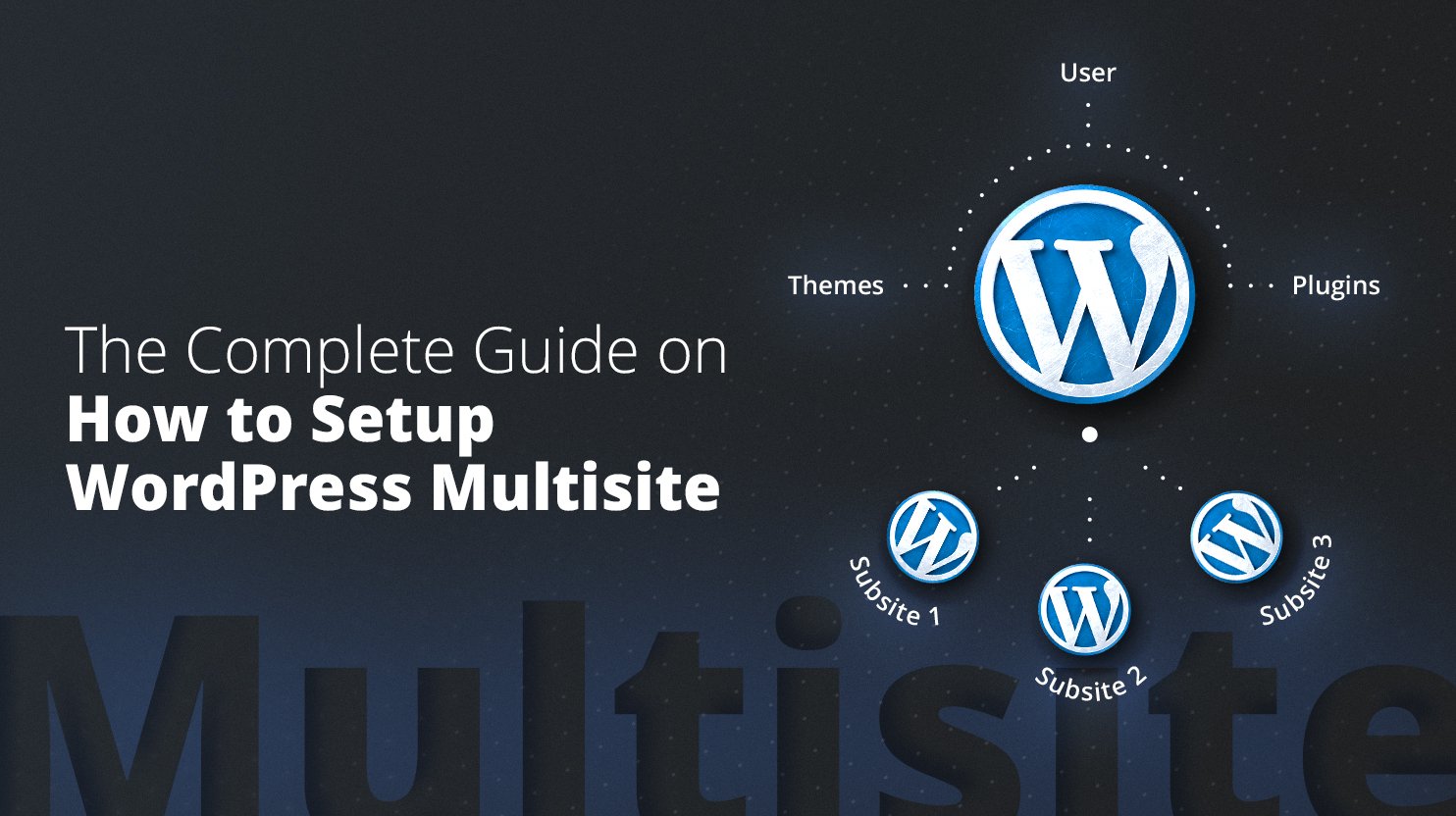 The Complete Guide on How to Setup WordPress Multisite