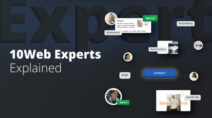 10Web Experts