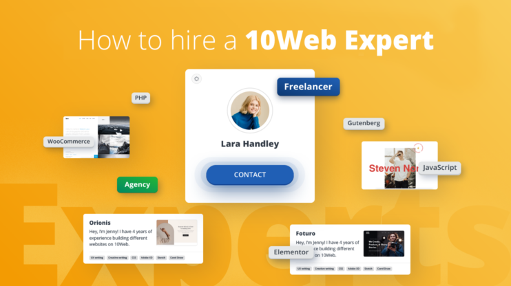 10Web Experts