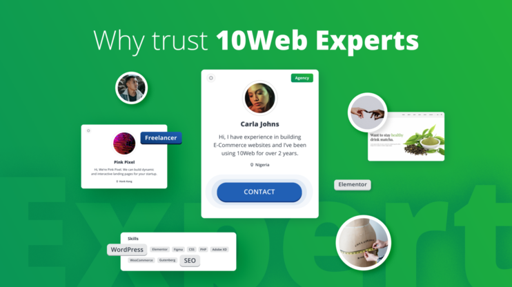 10Web Experts
