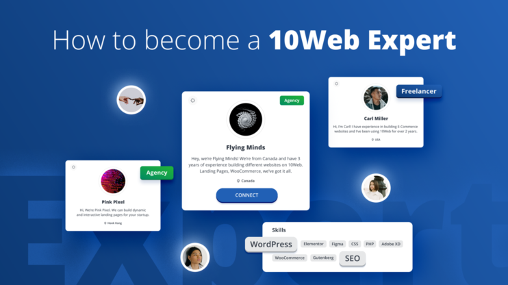 10Web Experts