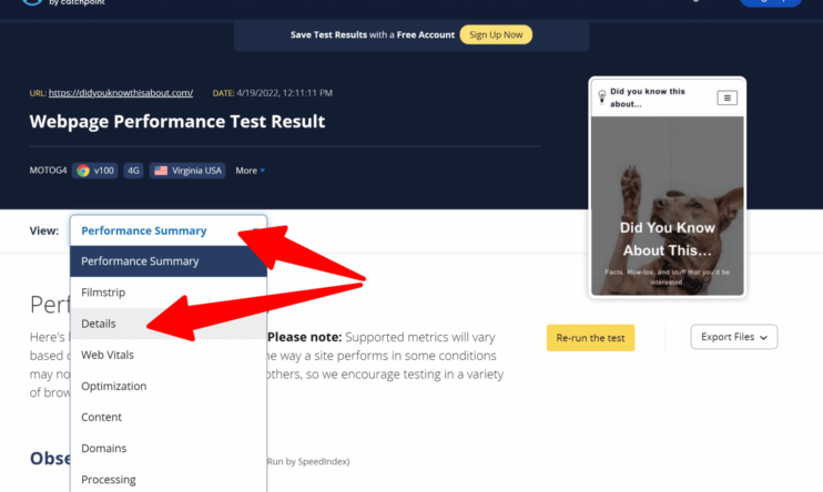 WebPagetest DNS Lookups