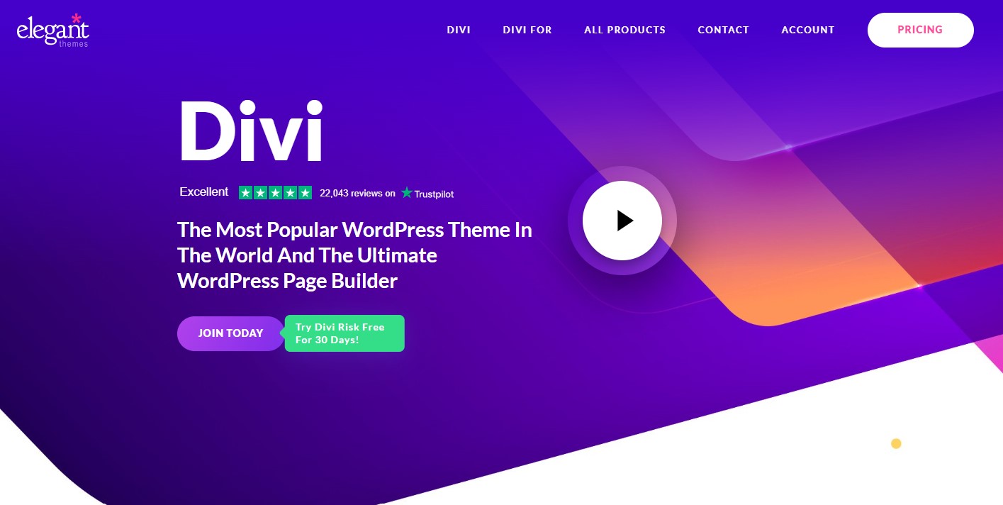 Divi Theme