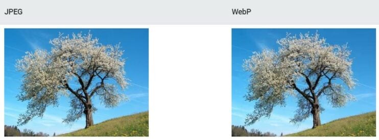 JPEG and WebP Comparison