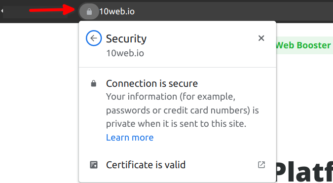 Checking for SSL Certificate Details
