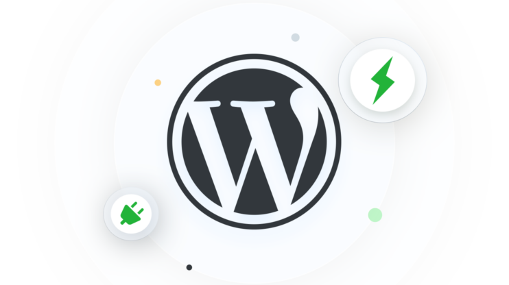 WordPress Optimization Plugins