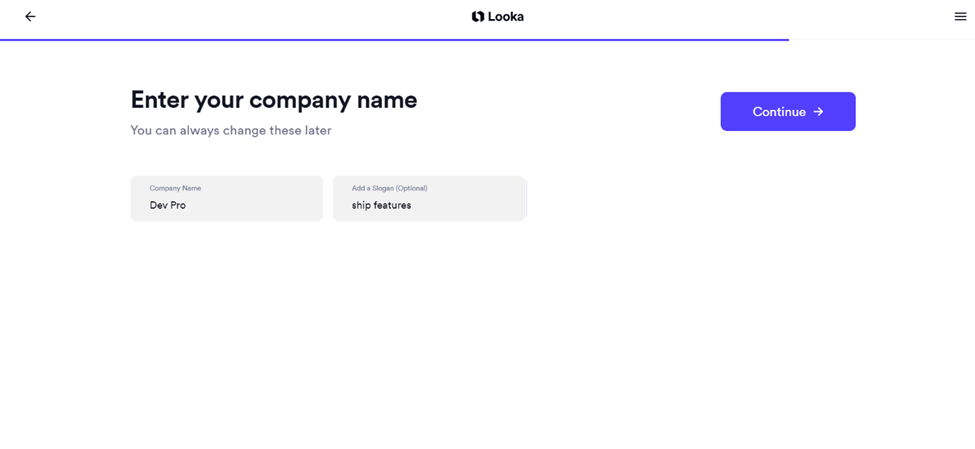 Looka - Entering company name