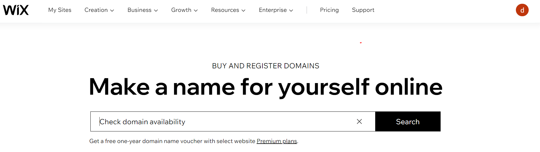 Wix Domain Name