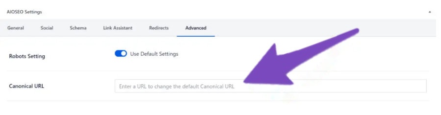Editable Canonical URLs in All in One SEO