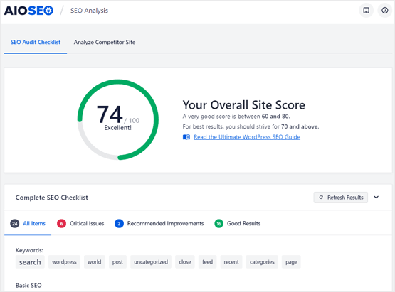 Site Audit in All in One SEO