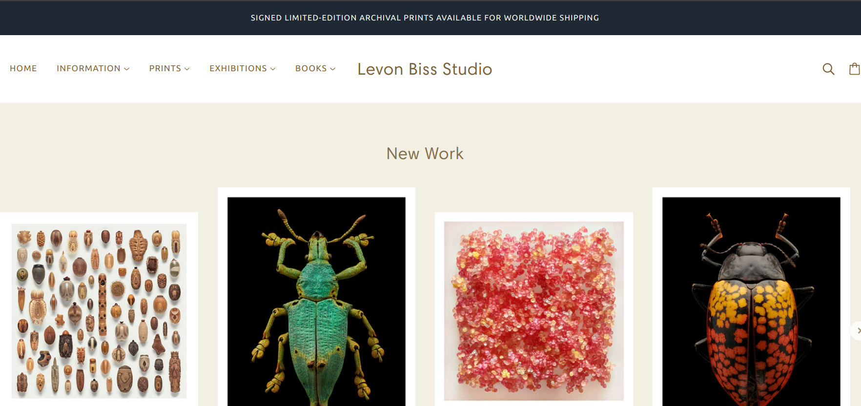 Levon Bliss Photography Website Example