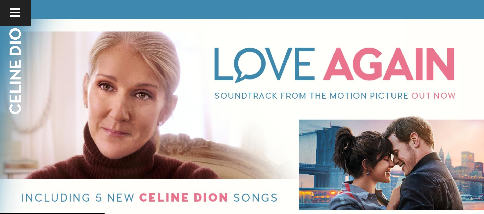 Celine Dion Musician Website Examples