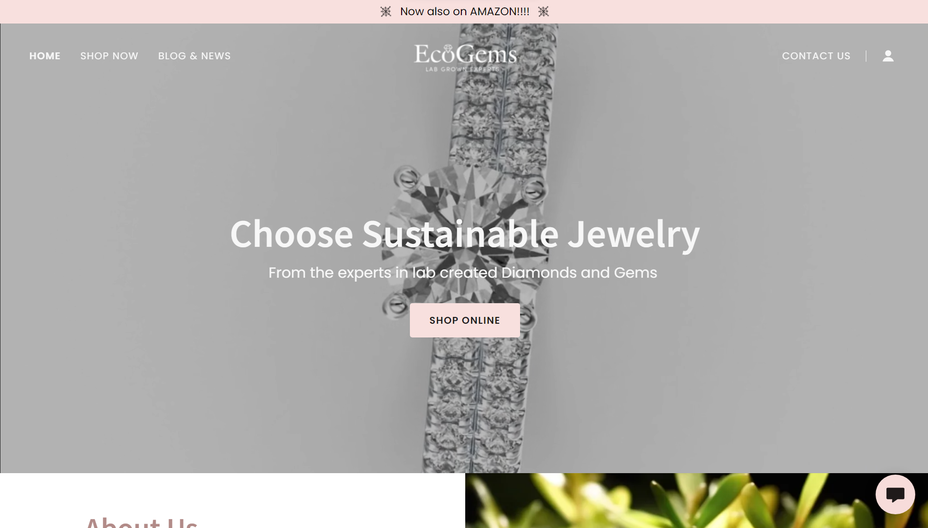 EcoGems Jewelry Website