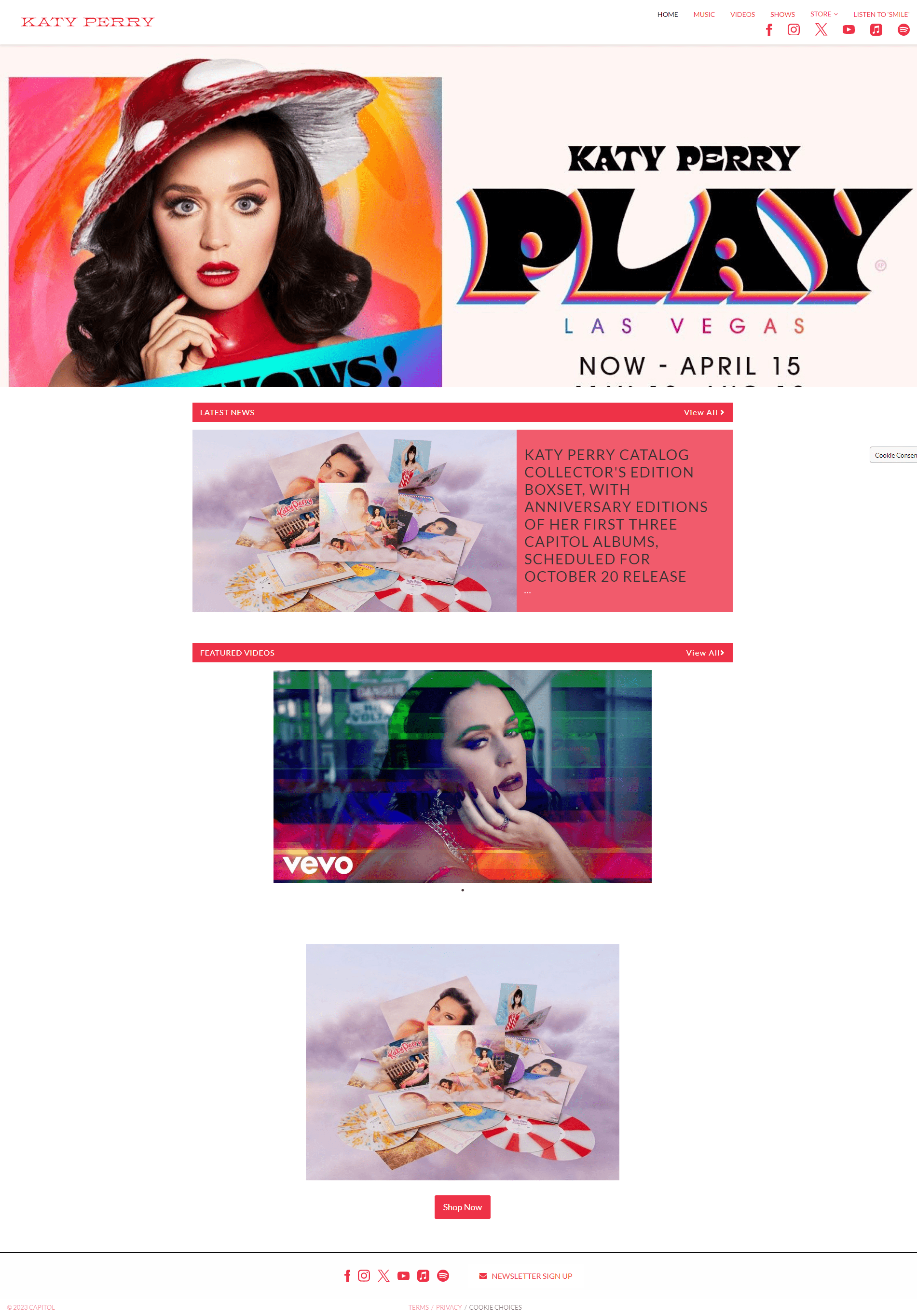 https://10web.io/blog/wp-content/uploads/sites/2/2023/11/www.katyperry.com_-min.png