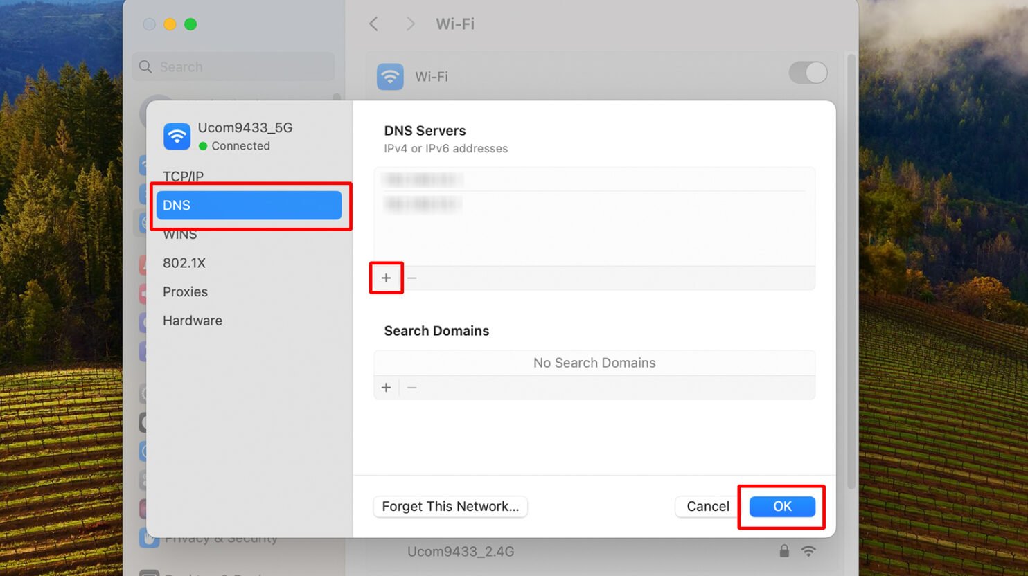 Changing DNS addresses on a Mac.