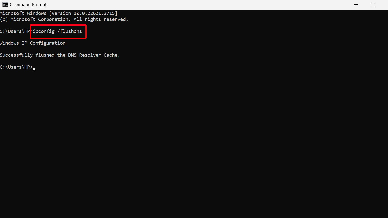 Command prompt showing successful DNS flush.