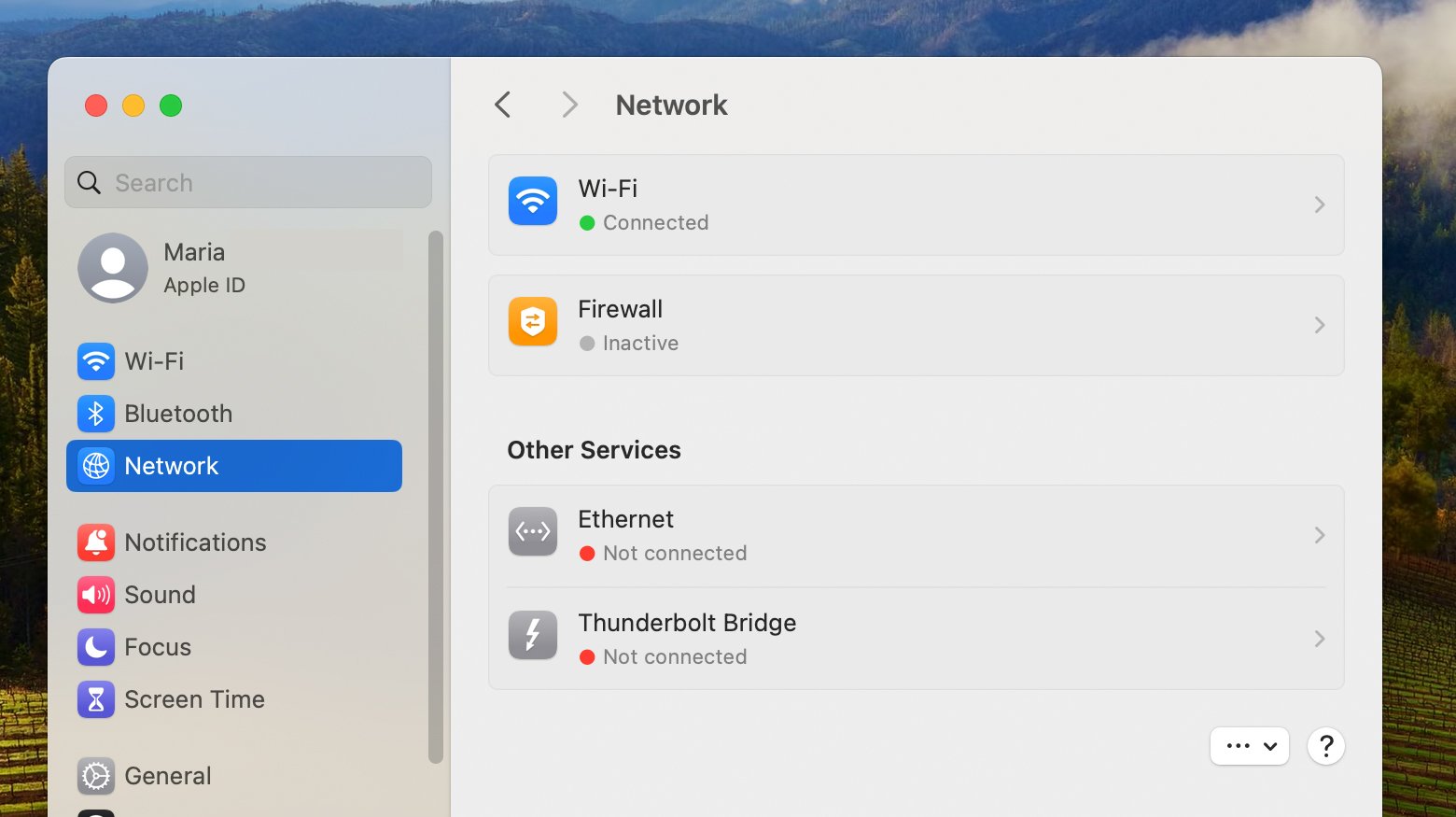 Mac system settings menu with Network icon highlighted.