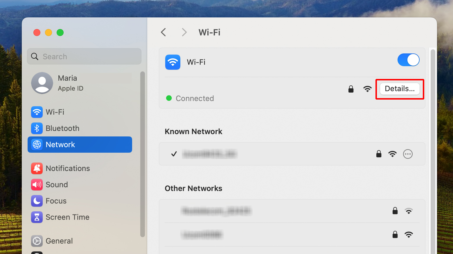 Mac Network with active network and Details highlighted.