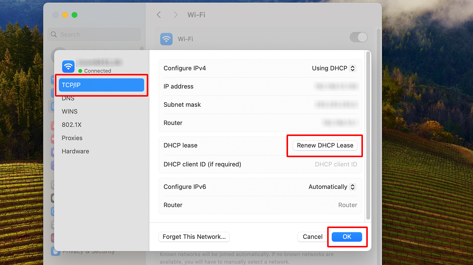 Mac Network with TCP/IP selected. The renew button and OK button are highlighted.