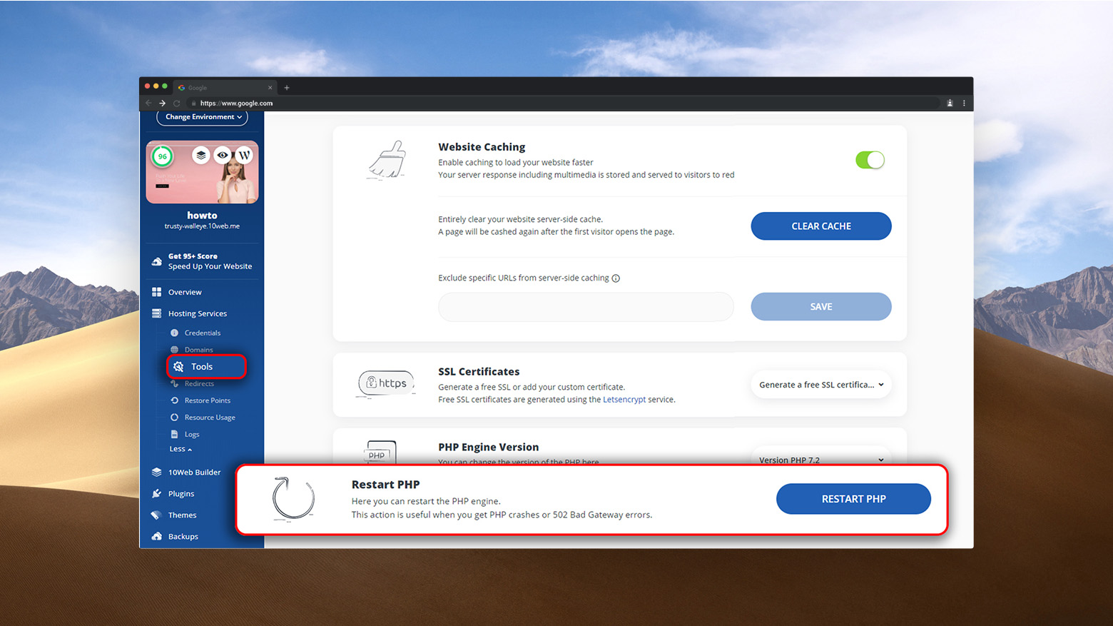 Restarting PHP engine in web hosting panel.