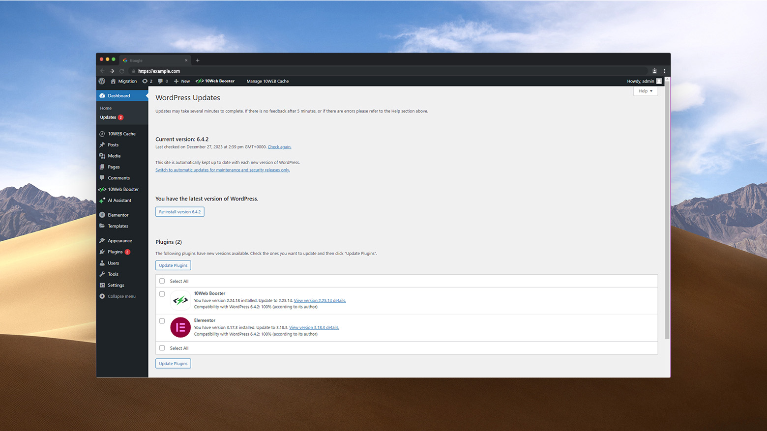 Updates page in the WordPress admin.