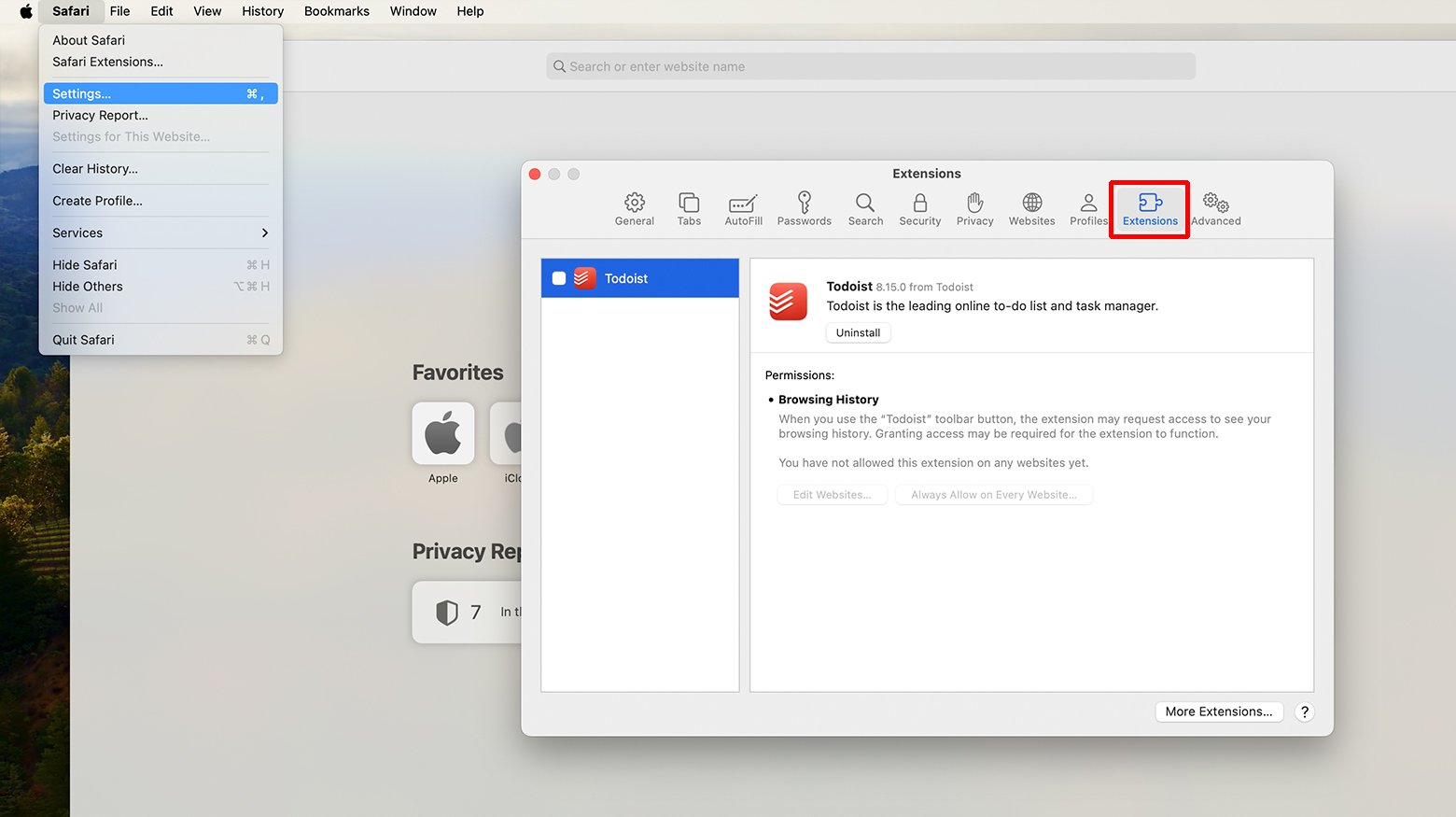 Extensions in Safari