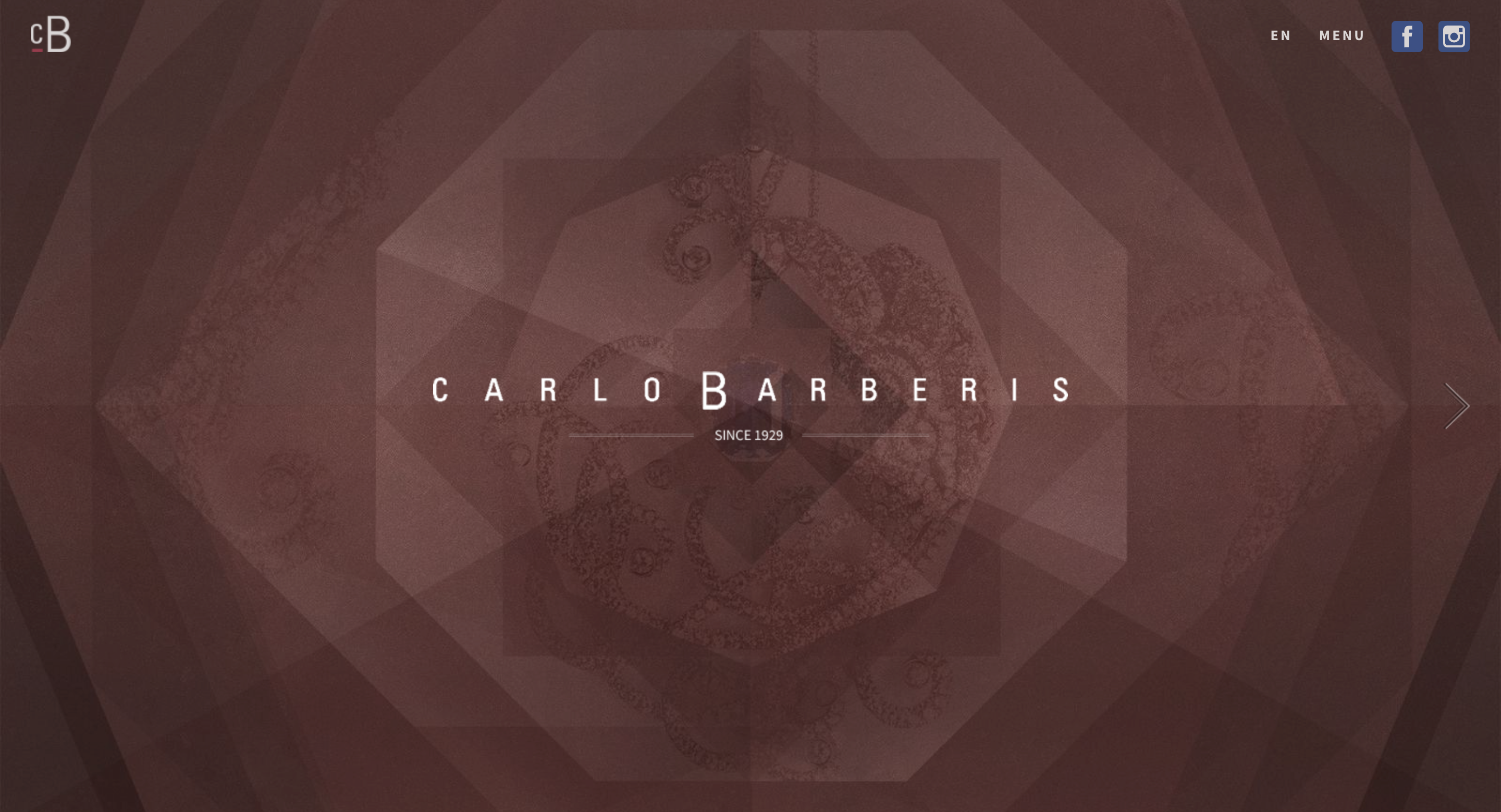 https://10web.io/blog/wp-content/uploads/sites/2/2024/02/Carlo-Barberis-Jewelry-Website-Example.png