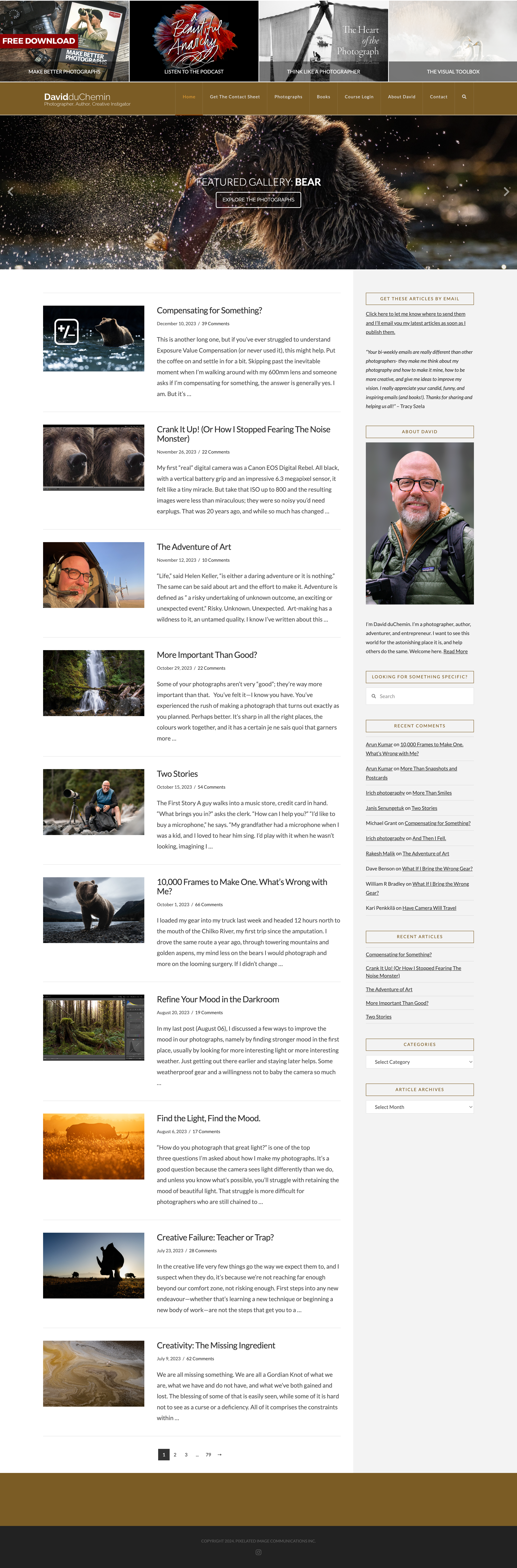 https://10web.io/blog/wp-content/uploads/sites/2/2024/02/David-duChemin-Blog-Website-Example.png