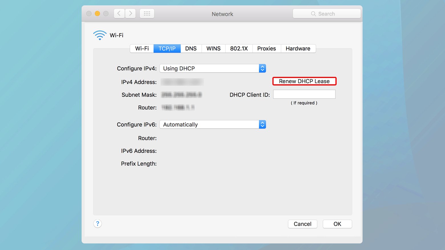 Mac settings with Renew DHCP lease highlighted.