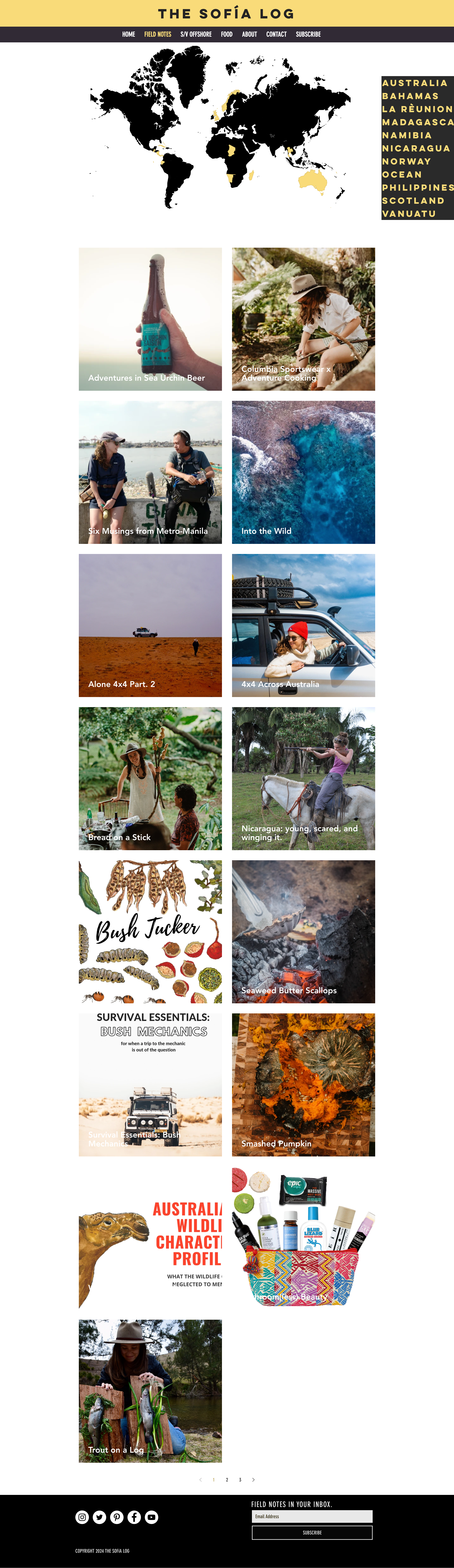 https://10web.io/blog/wp-content/uploads/sites/2/2024/02/The-Sofia-Log-Blog-Website-Example.png