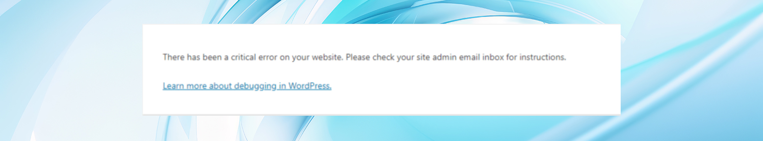 The there has been a critical error on this website error message.