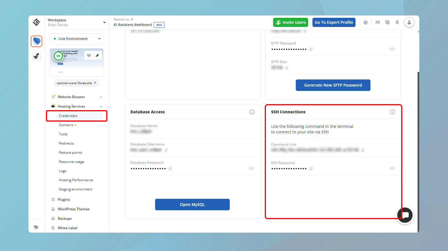 10Web dashboard credentials page with SSH highlighted.