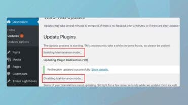 Resolving the Briefly Unavailable for Scheduled Maintenance Error
