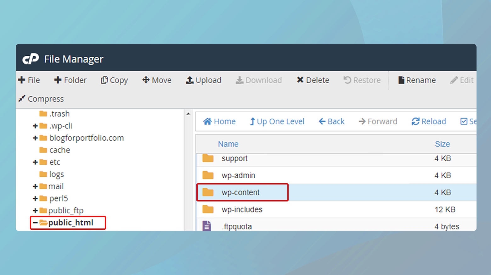 WP content folder in cPanel. 