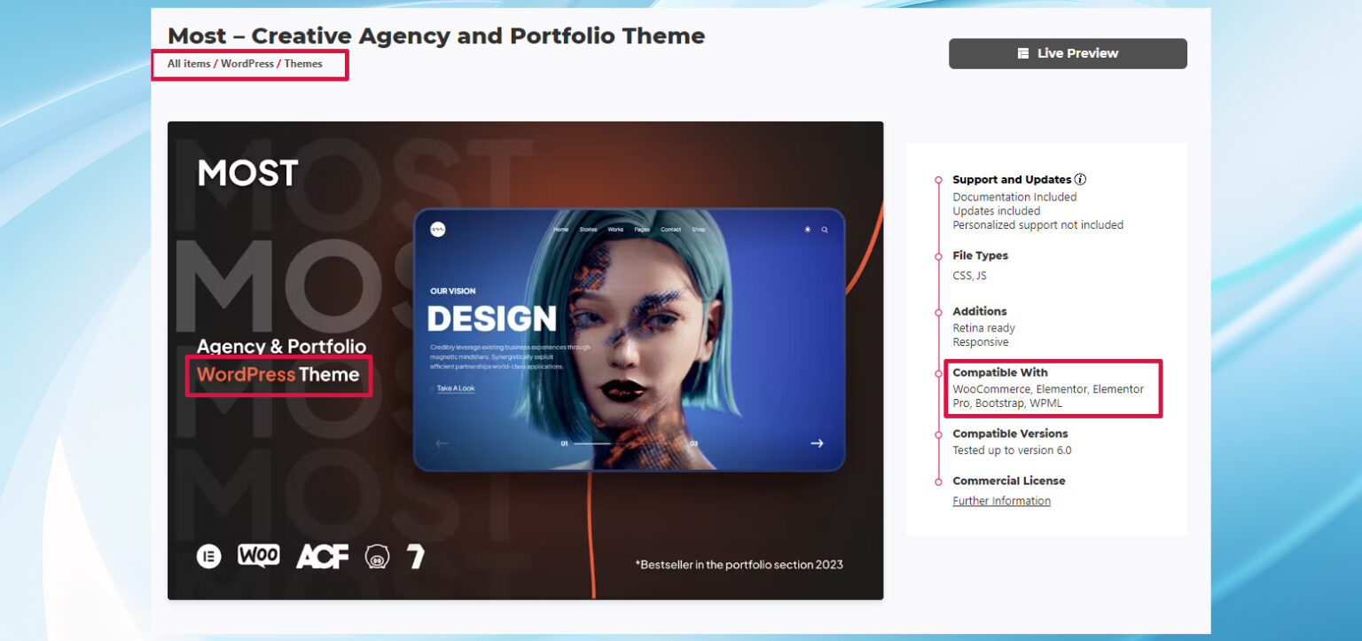 Theme Install Error: Missing style.css Fix