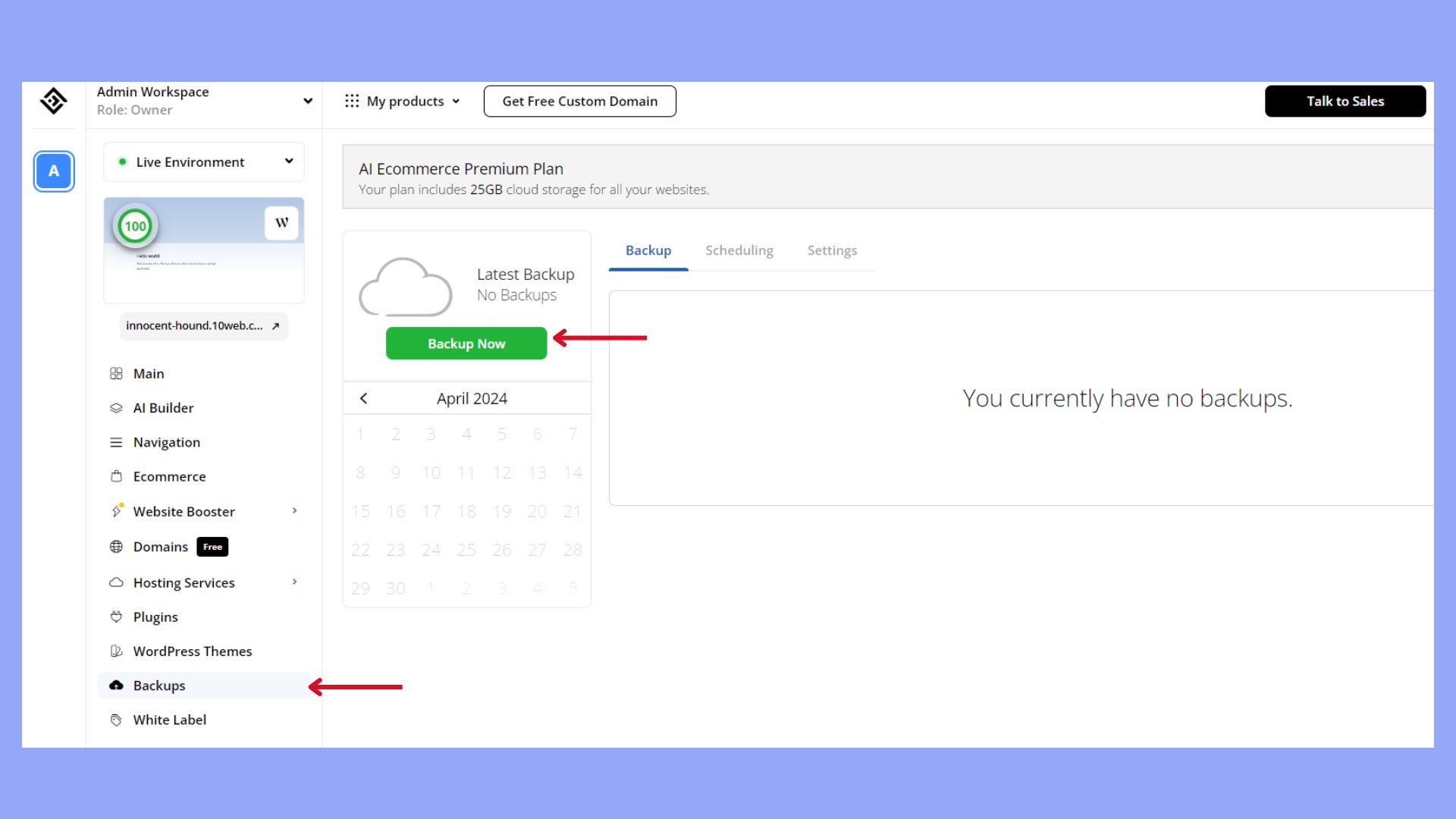 Backup website through 10Web dashboard