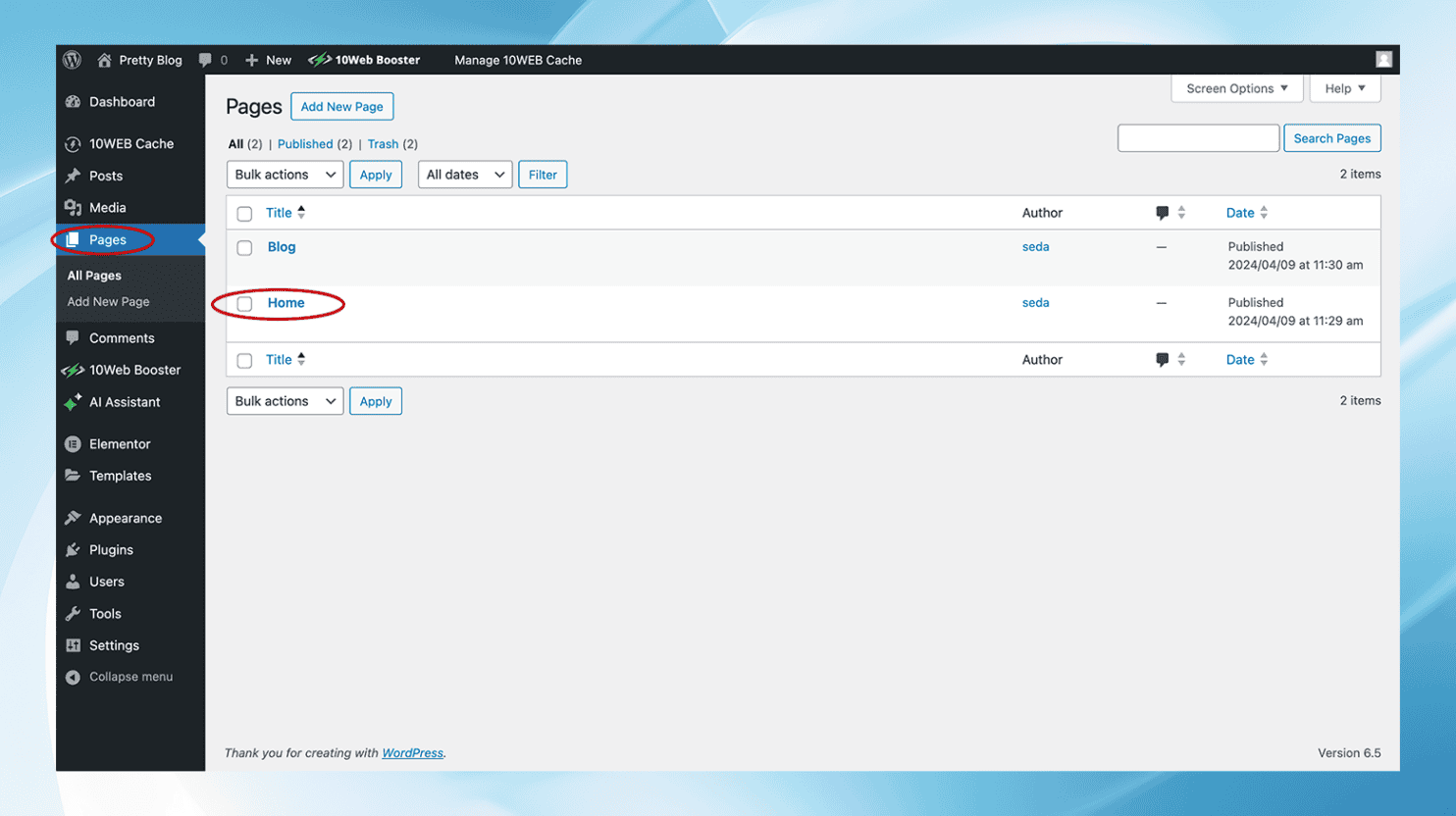 How to Add Blog Posts to Pages in WordPress - 10Web