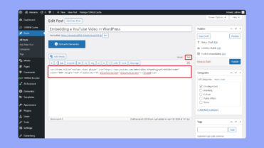 How to Embed a YouTube Video in WordPress | 10Web