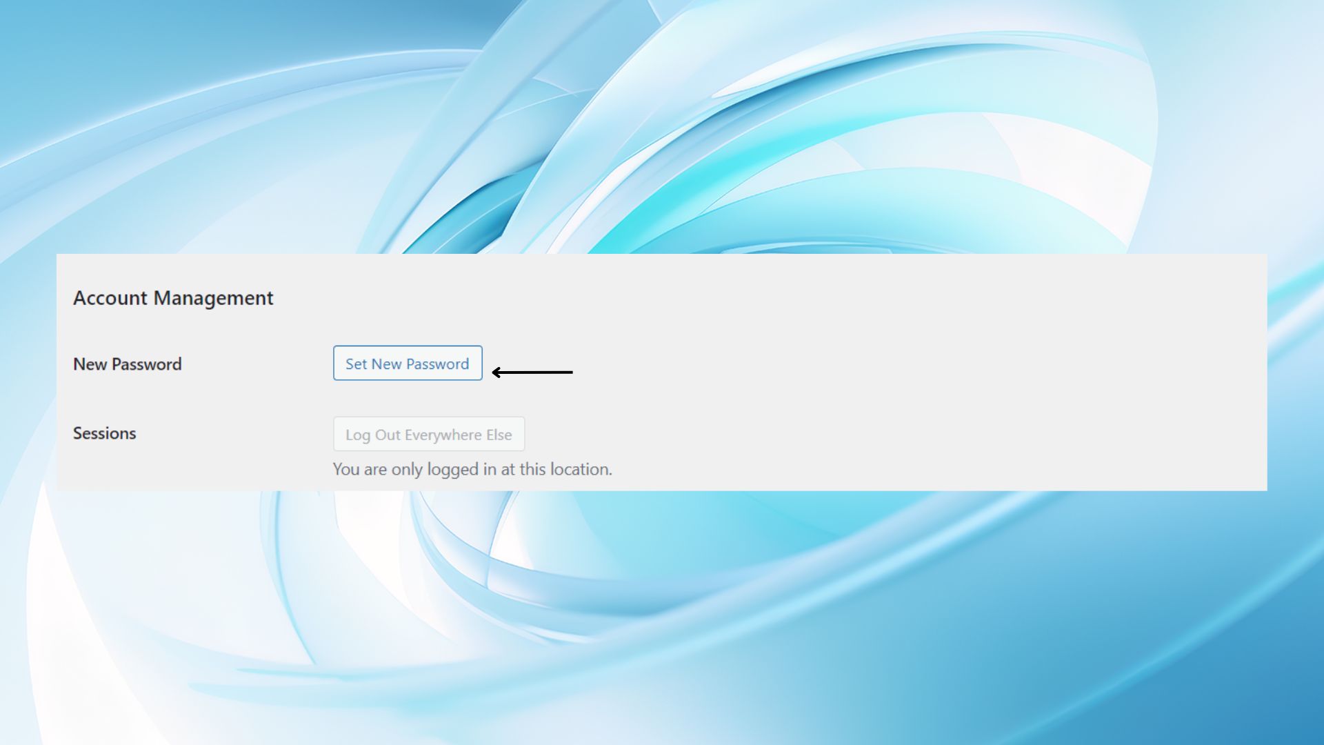 Set a new password on WP profile