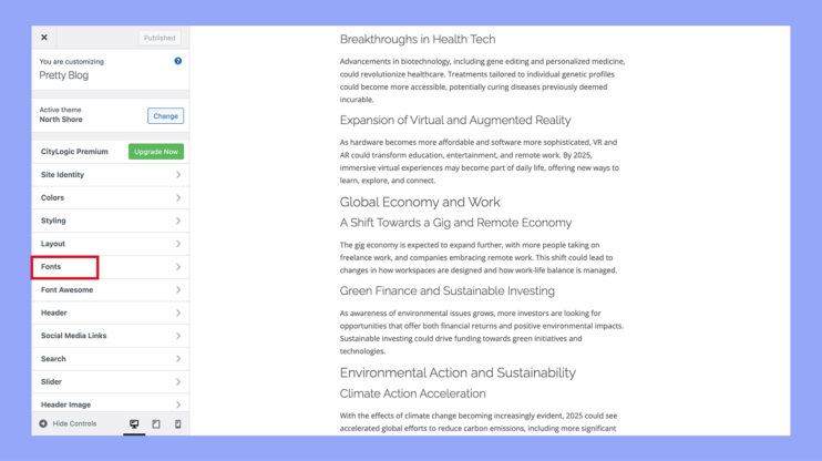 Using the Theme customizer to change font in WordPress
