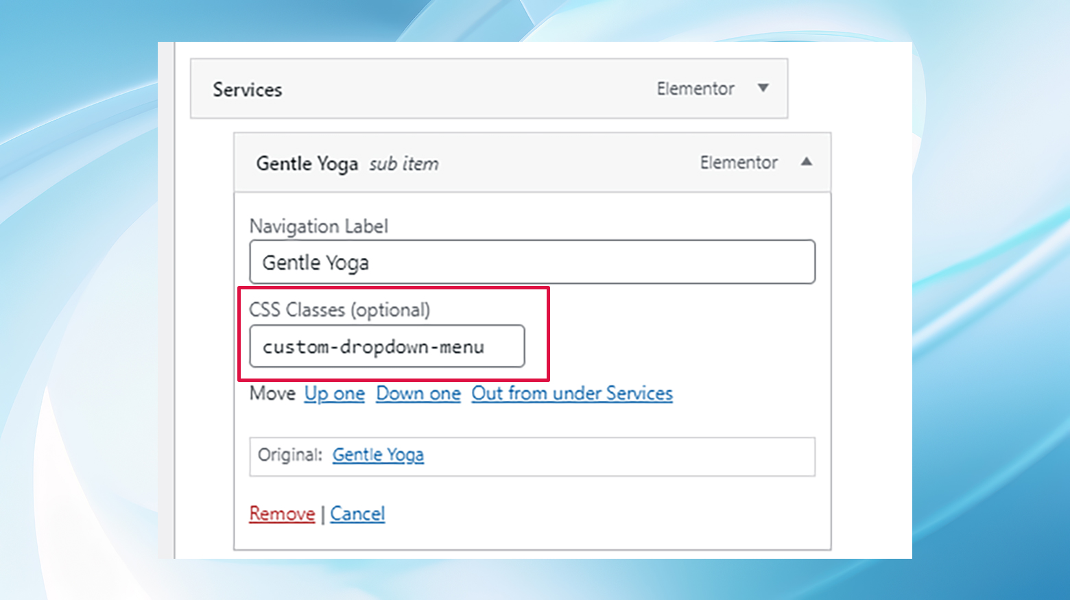 With the CSS classes option enabled the menu section allows you to add a custom CSS class.