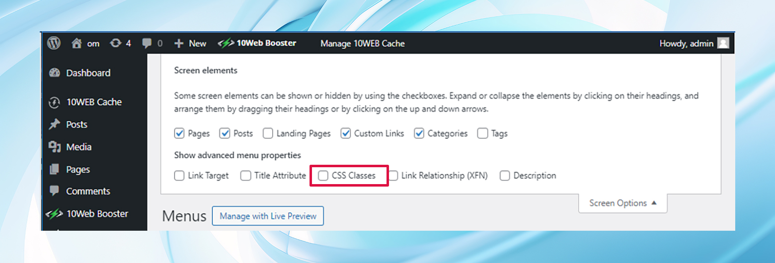 The screen options panel showing the CSS classes option highlighted.