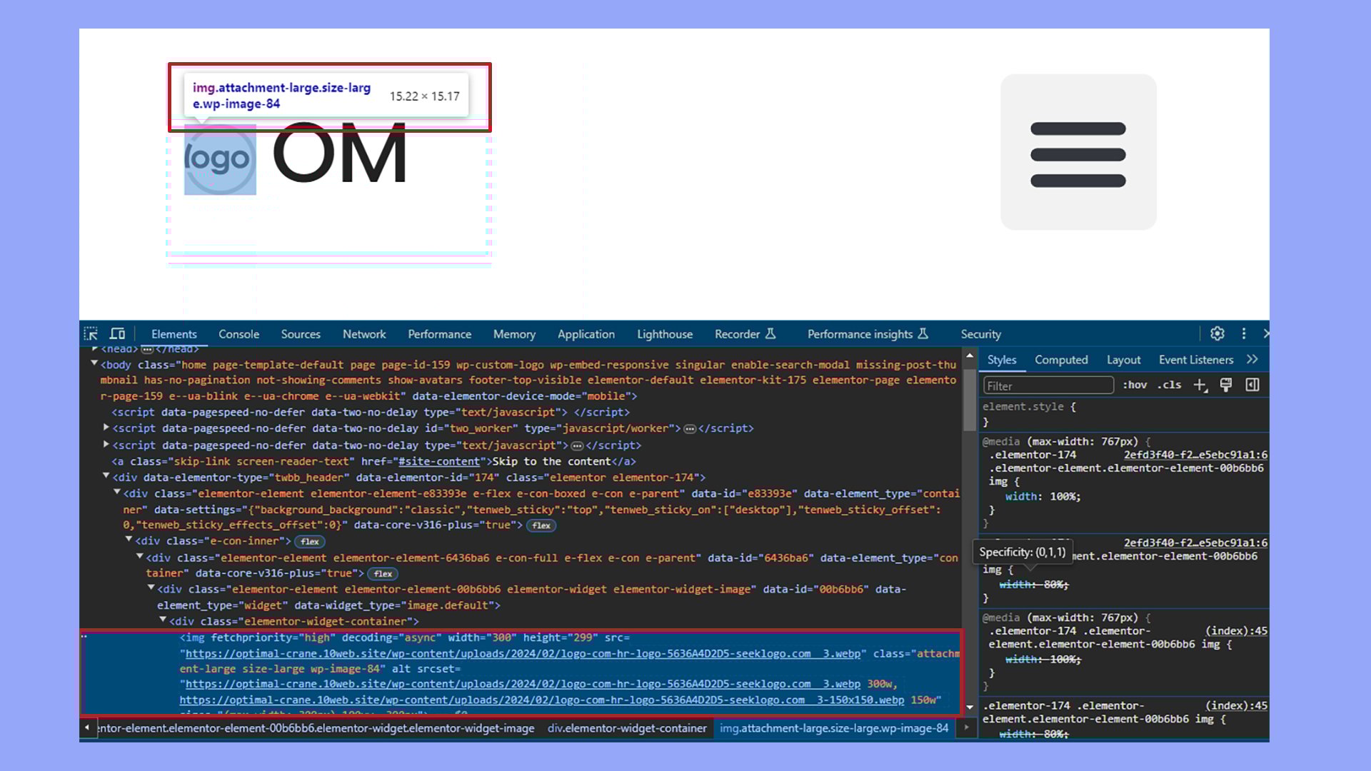 Identifying CSS for the logo's custom CSS.