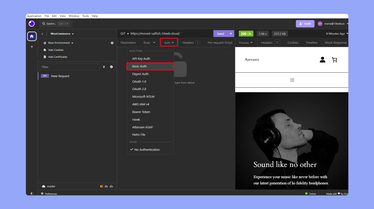 Cliente API Insomnia Autenticación básica mediante API.