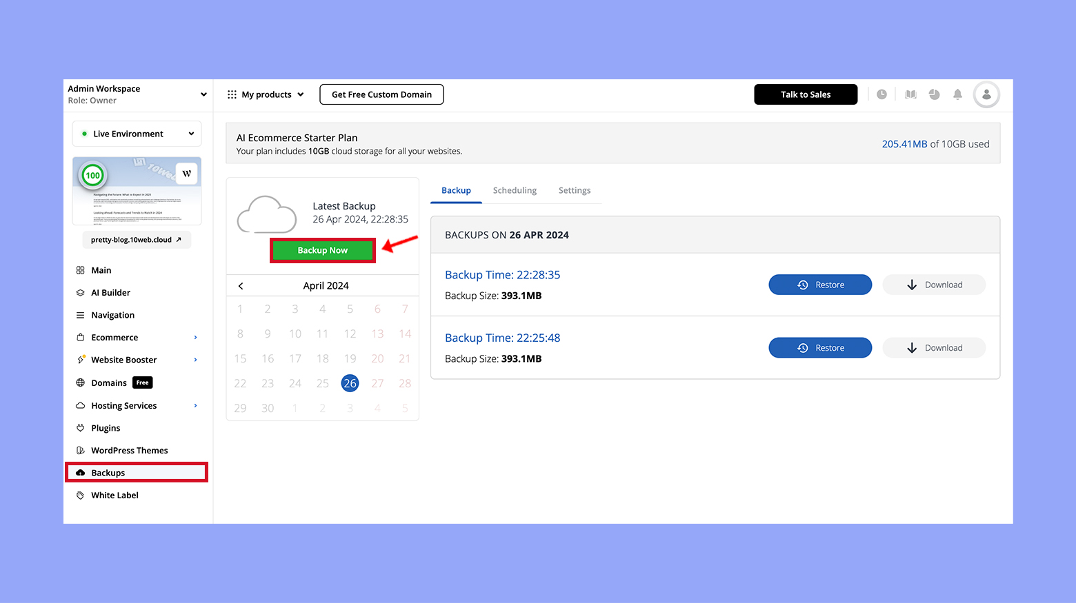 Backing up online store with 10Web AI Ecommerce Website Builder